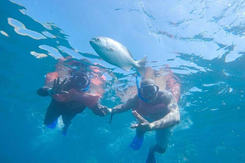 Two people scuba diving underwater with a fish above them. 3