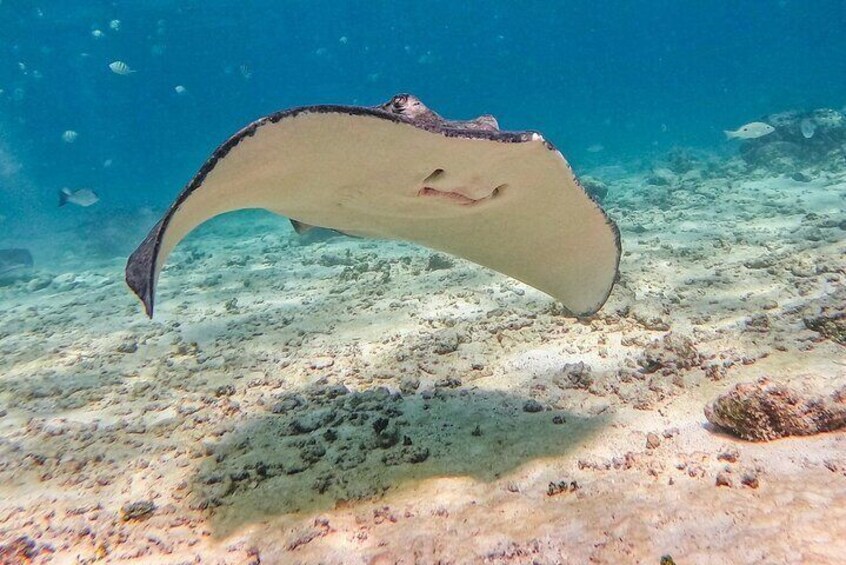 Kemer Private Antalya Aquarium Tour | All Inclusive 2