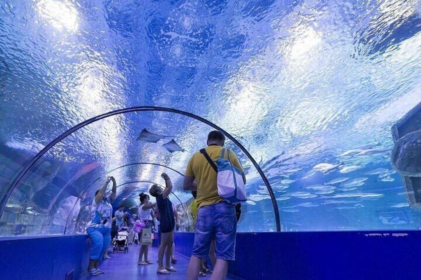 Kemer Private Antalya Aquarium Tour | All Inclusive 3