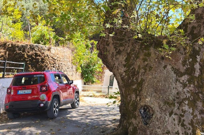 Corfu Port: Private Jeep Adventure — Hidden Beaches & Off-Road 2