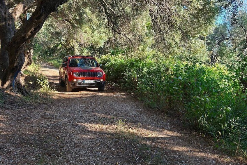 Corfu Port: Private Custom Jeep Safari, Off-Road & Beach Swim 5