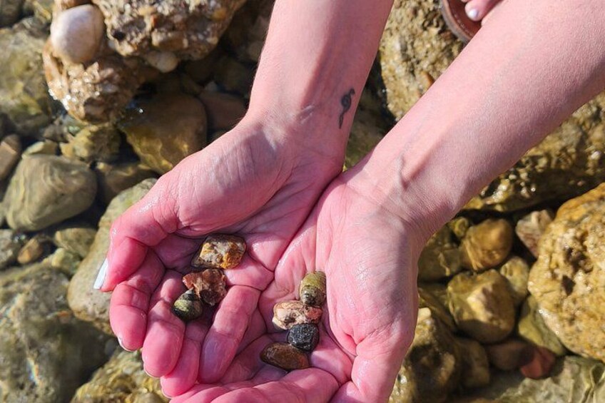 Corfu Port: Private Jeep Adventure — Hidden Beaches & Off-Road 2