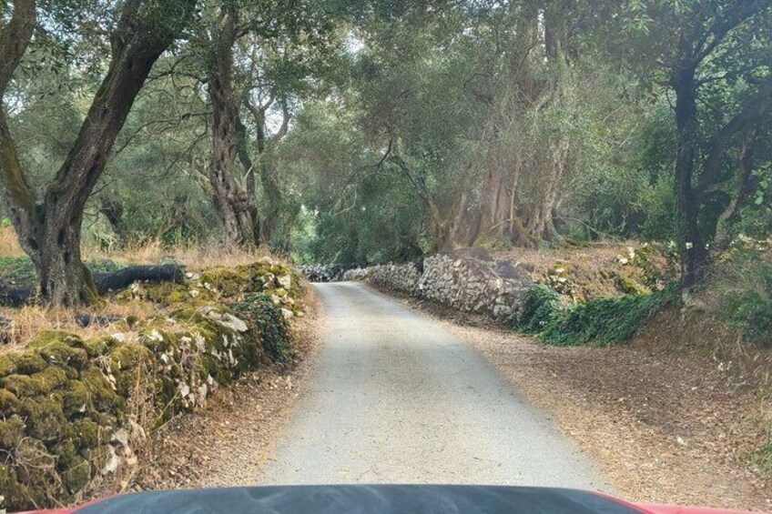 Corfu West Coast: Private Off-Road Jeep Adventure 5