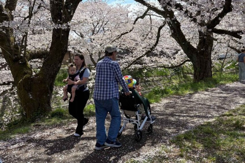 Picture 1 for Activity From Tsuruga Port: Fukui Private Car Tour with Pickup 2