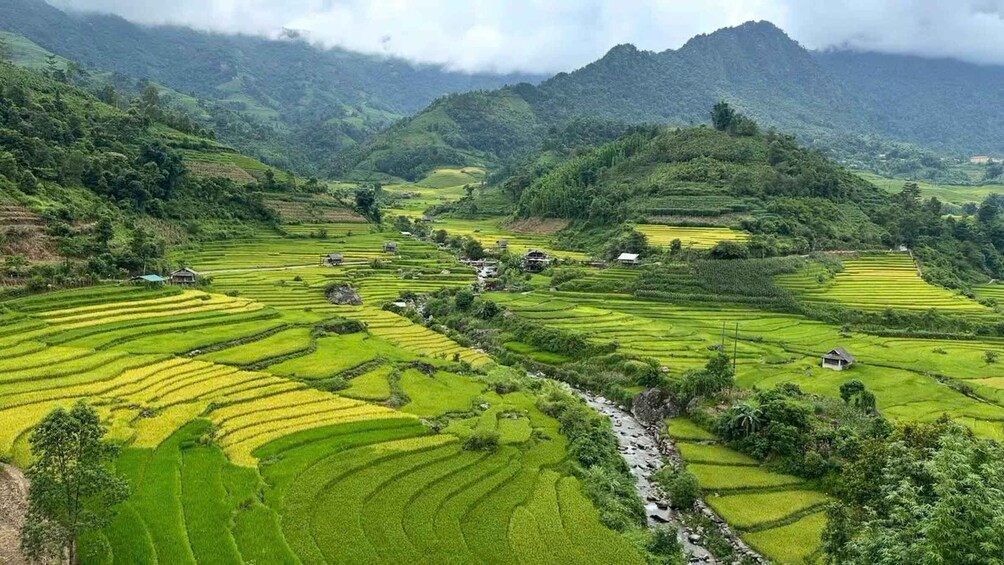 Picture 4 for Activity Hanoi: SaPa Limousine Bus/Rice Terrace Trail & Fansipan Peak 2