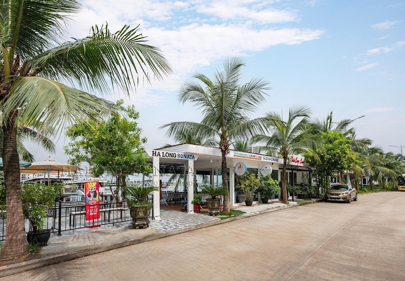 Picture 3 for Activity Hanoi: Ha Long Bay VIP Cruise - Swim, Kayak, Cave & Buffet 3