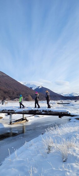 Picture 10 for Activity Ushuaia White Day: Lunch, Snowmobile, Culipatin, and Snow Hike 4