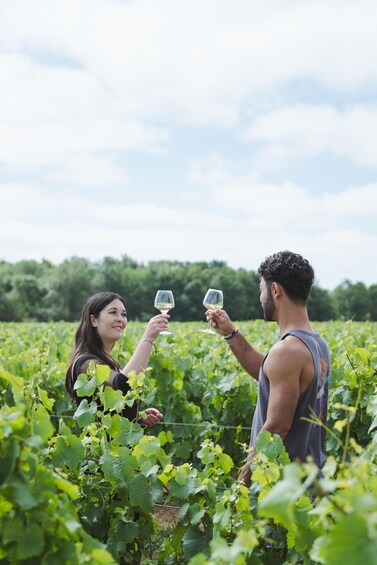 Nantes: Vineyard tour by van (2 hours) 1