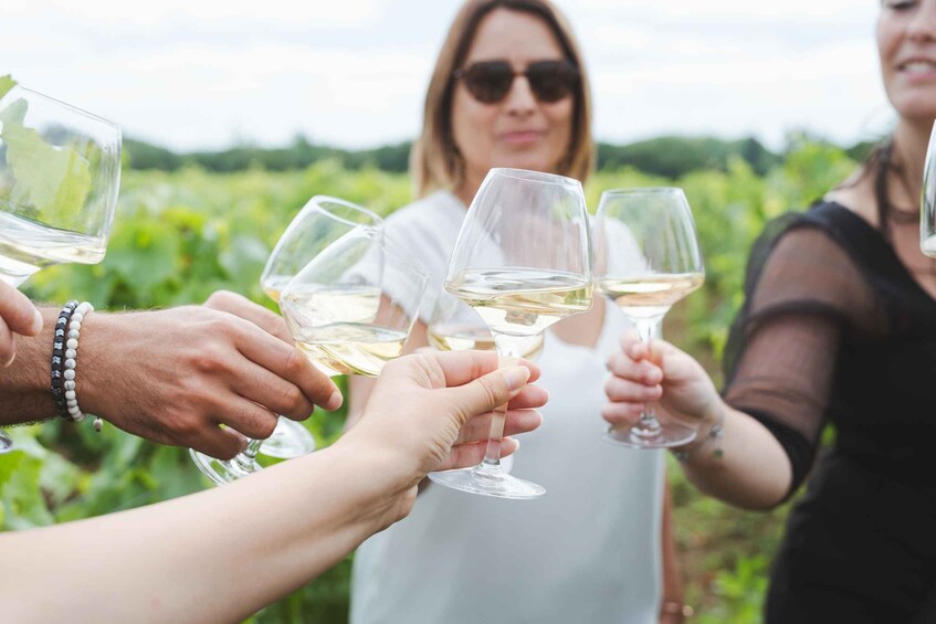 Picture 1 for Activity Nantes: Vineyard tour by van (2 hours) 3
