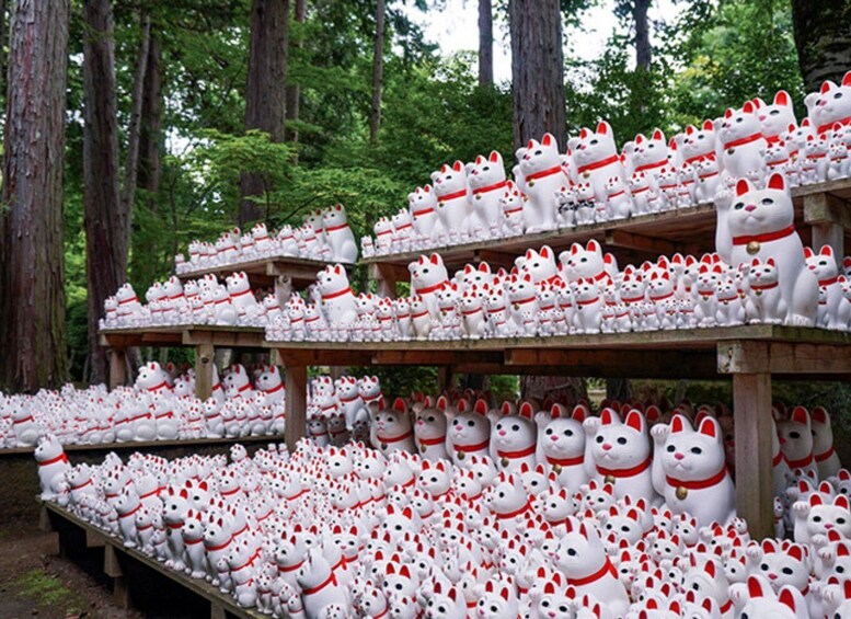 Multiple shelves filled with white cat figurines with red collars in a forest setting. 4