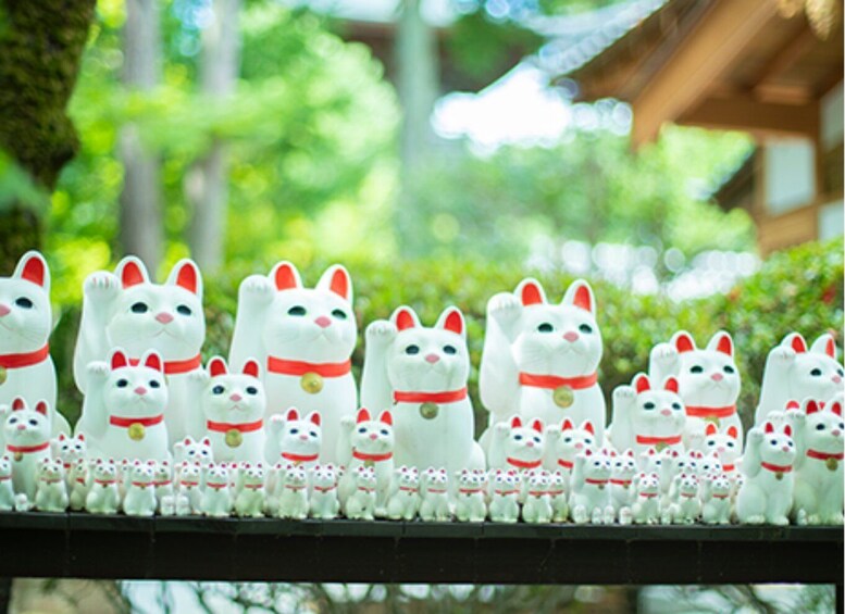 A collection of Maneki-neko figurines on a shelf. 3