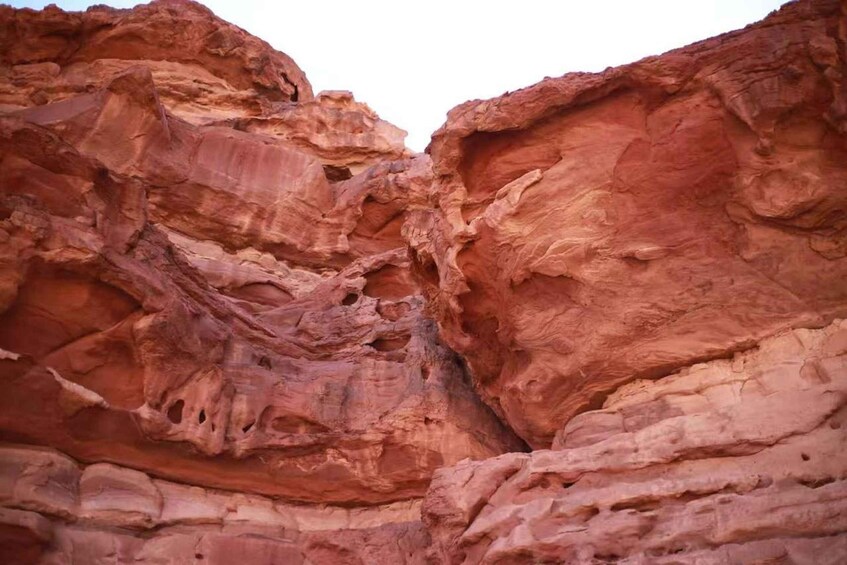 Picture 5 for Activity Wadi Rum Full-Day Jeep Tour: Lunch, Sunset & Hidden Gems 5