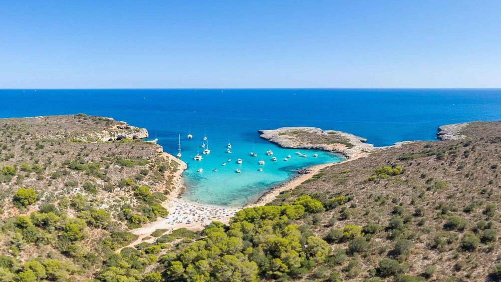 Mallorca: Glass Bottom Boat Excursion - Caves & Unspoiled Coves 1