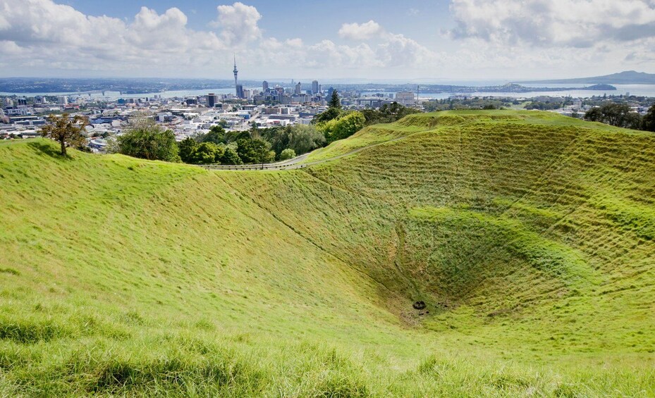Picture 3 for Activity Private Half-Day Tour of Auckland Volcanoes-The City of Fire 3