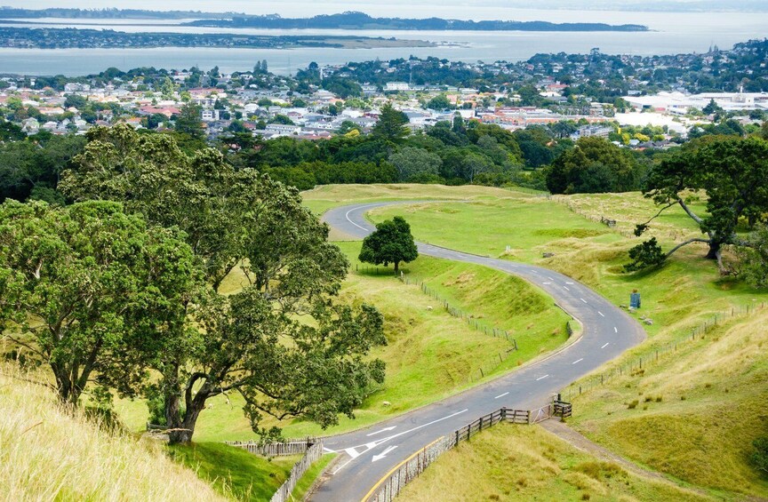 Picture 4 for Activity Private Half-Day Tour of Auckland Volcanoes-The City of Fire 4