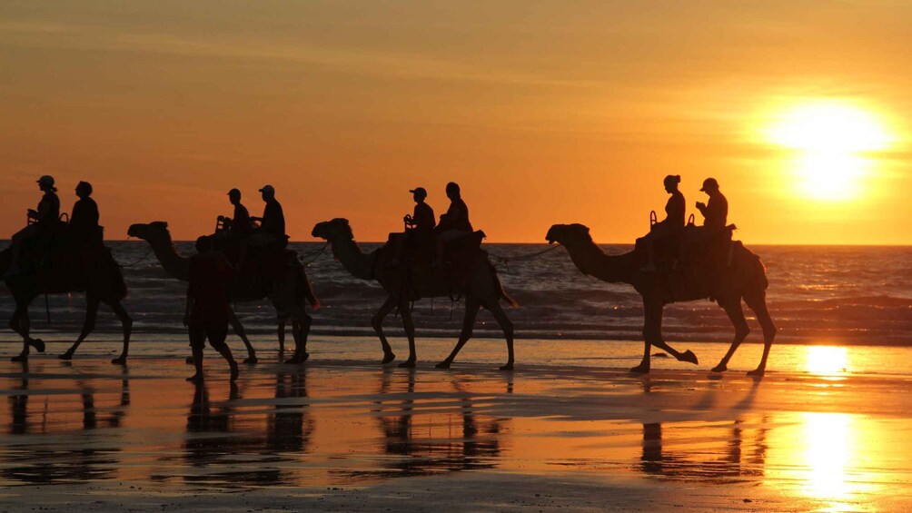 Silhouettes of people riding camels on a beach at sunset. 1