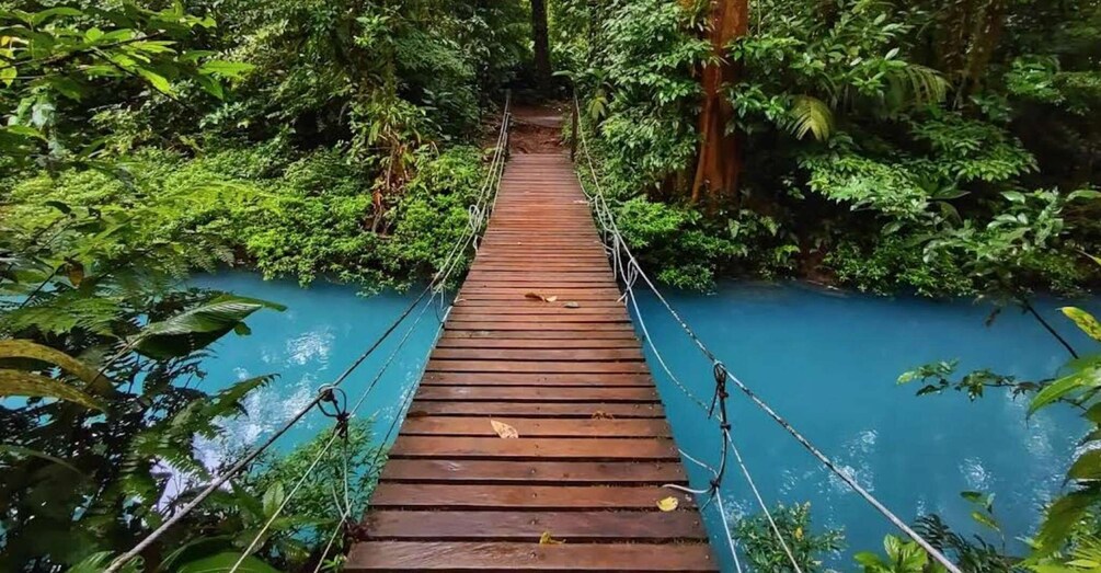 A wooden suspension bridge over a clear blue river, surrounded by dense green foliage. 1