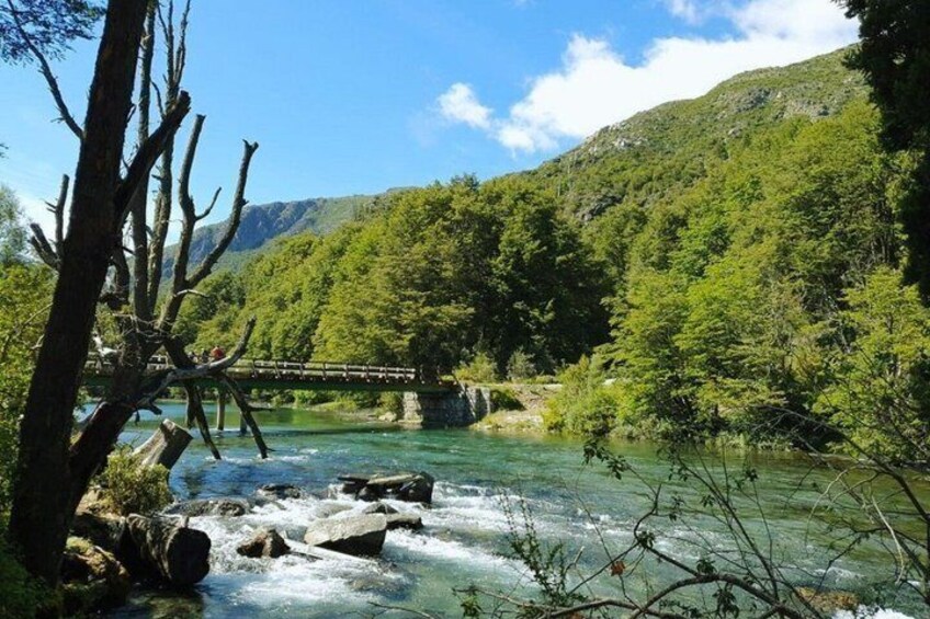 A river with a wooden bridge, surrounded by lush green forest and mountains. 5
