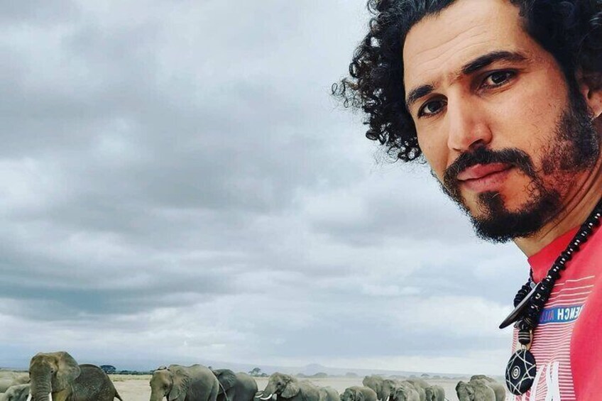 A person in a red shirt with a microphone, standing in front of a herd of elephants. 2