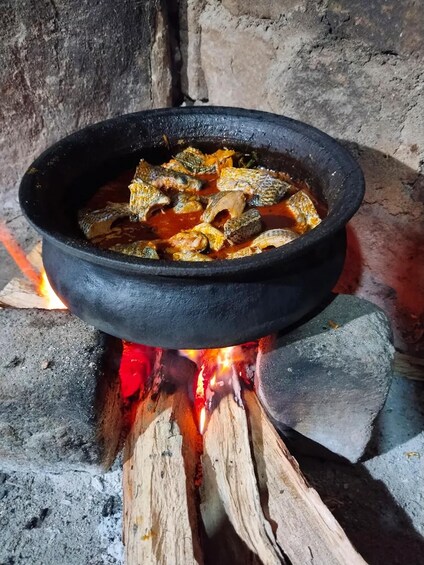 Picture 4 for Activity From Galle: Yala Safari Wadiya Lunch & Nine Arch Bridge Tour 2