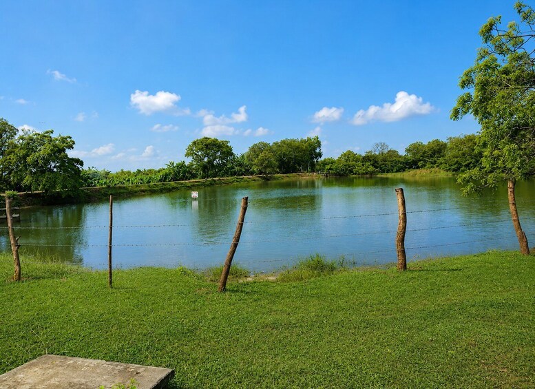 Picture 3 for Activity From Galle: Yala Safari Wadiya Lunch & Nine Arch Bridge Tour 5