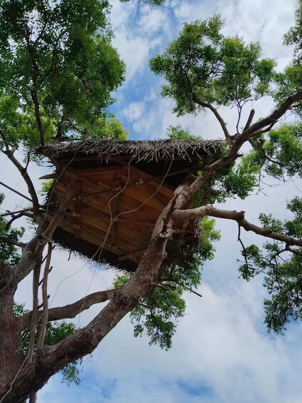 Picture 2 for Activity From Galle: Yala Safari Wadiya Lunch & Nine Arch Bridge Tour 3