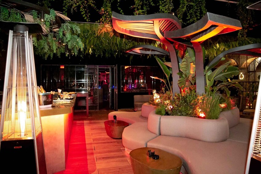 Private Puerto Banus Night Life Walking Tour 1