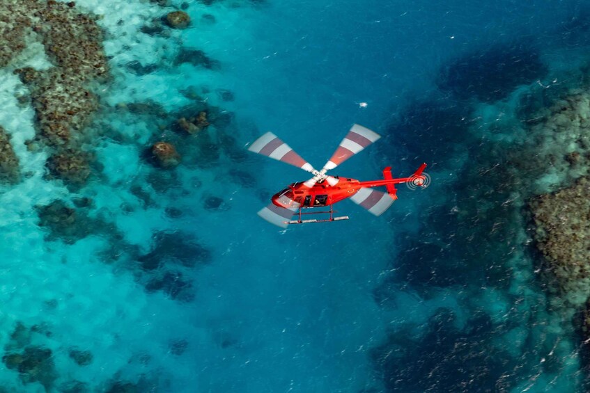 Cairns: 60 minute Scenic Flight Over the Reef & Rainforest 1