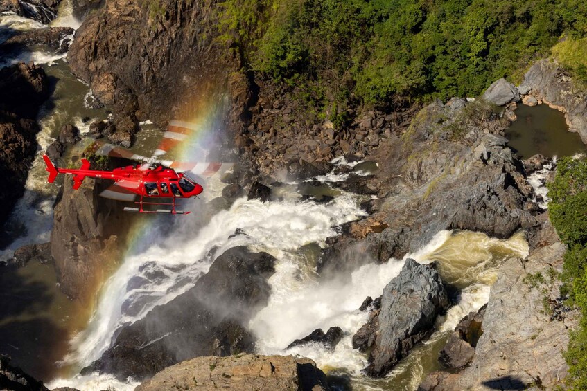 Picture 2 for Activity Cairns: 60 minute Scenic Flight Over the Reef & Rainforest 3