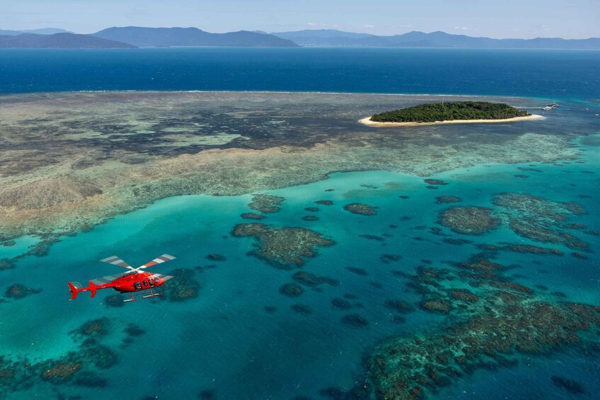 Picture 3 for Activity Cairns: 60 minute Scenic Flight Over the Reef & Rainforest 2