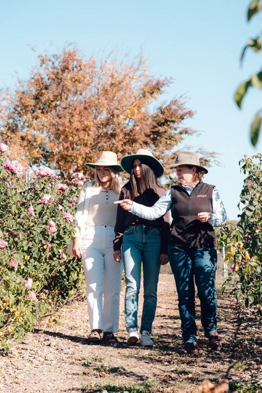 Picture 5 for Activity Adelaide Hills: Jurlique Private Immersion 1