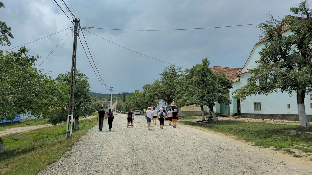 Picture 5 for Activity Brașov: 3-Day Highlights of Transylvania Private Tour 5