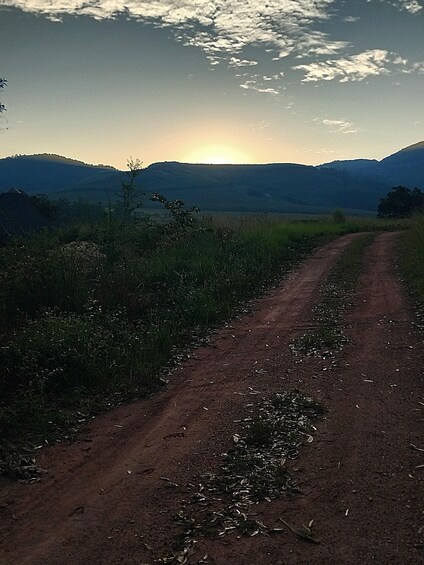 Picture 2 for Activity From Kruger: 3-Day Eswatini Wildlife & Cultural Tour 5