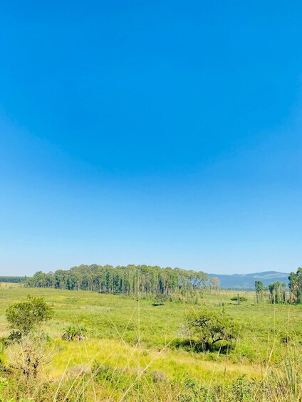 Picture 4 for Activity From Kruger: 3-Day Eswatini Wildlife & Cultural Tour 3