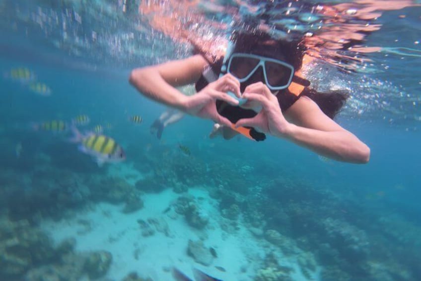 A person snorkeling underwater with fish around. 4