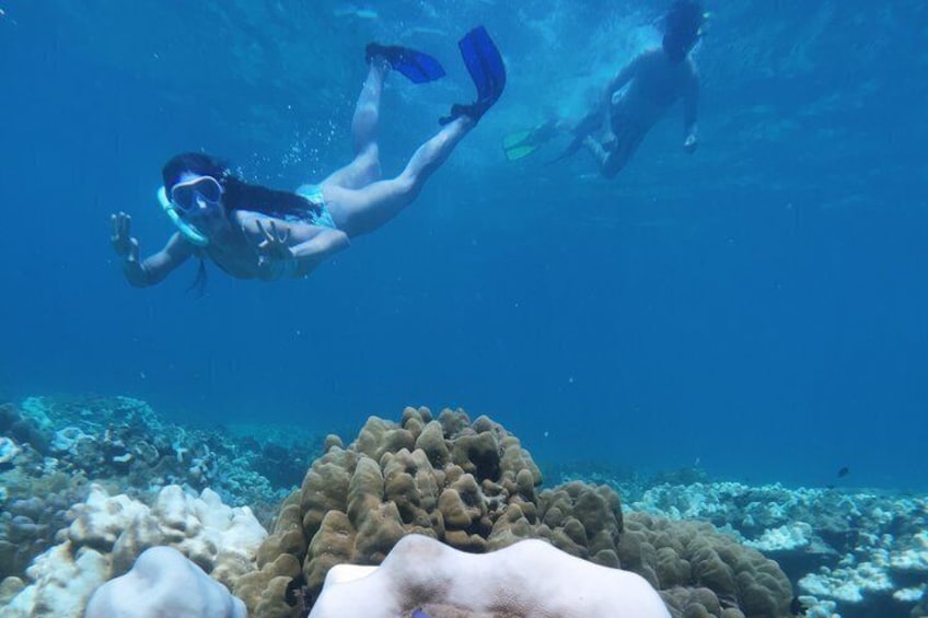 Two divers swimming underwater with coral formations in the background. 1