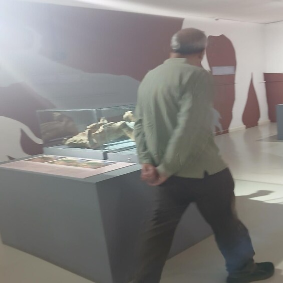 A person walking past a display case with artifacts. 5
