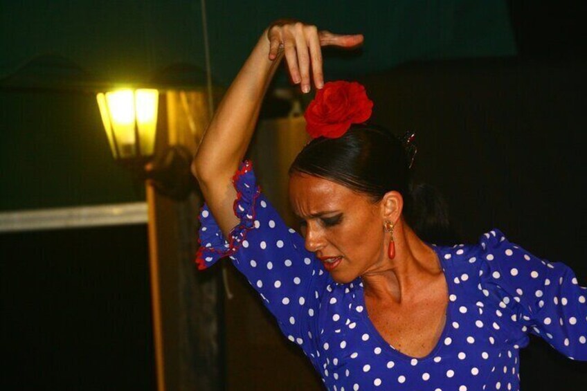 Flamenco and Outdoor Grill Evening (Guadalmina) 5