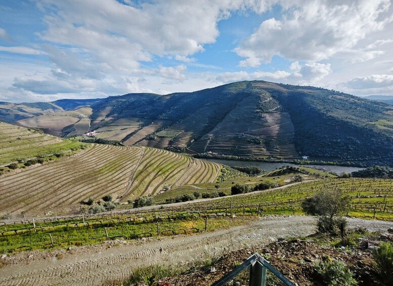 Picture 3 for Activity Private Douro & Vinho Verde Tour - 2 Regions in One Day 2