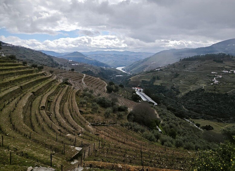 Picture 2 for Activity Private Douro & Vinho Verde Tour - 2 Regions in One Day 3