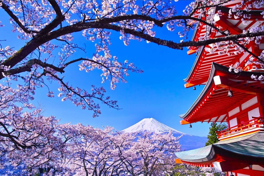 Picture 5 for Activity Mount Fuji & Hakone, Lake Kawaguchi and Owakudani Day Tour 4