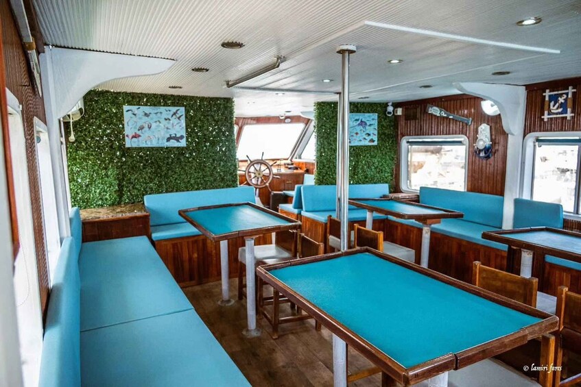 A boat interior with blue cushioned seating and tables, wooden accents, and green wall decorations. 5