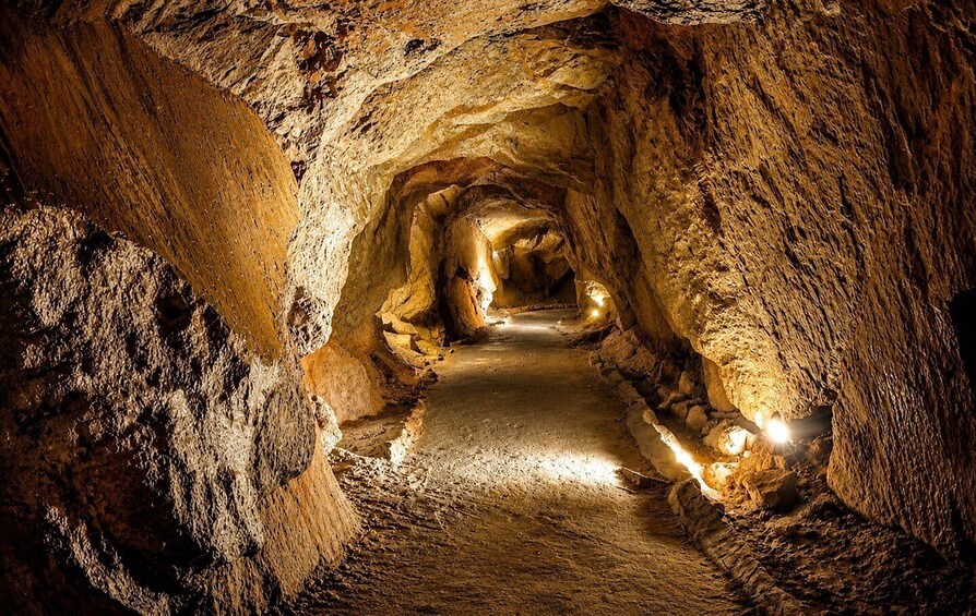 Picture 12 for Activity Cruise through the longest cave in Europe (Las Cuevas de Sant Josep) 4