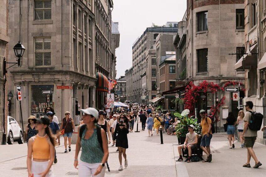 Private Montreal City Highlights Hour Walking Tour 2