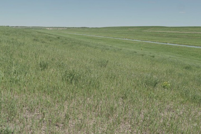 A vast green field with a clear sky. 2
