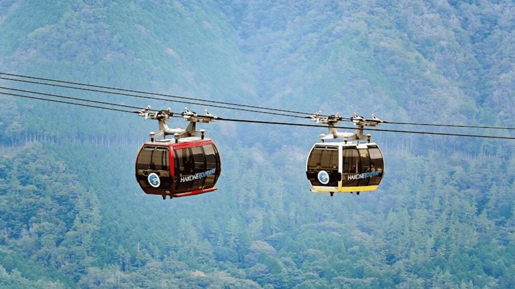 Two cable cars suspended over a forested mountain landscape. 2