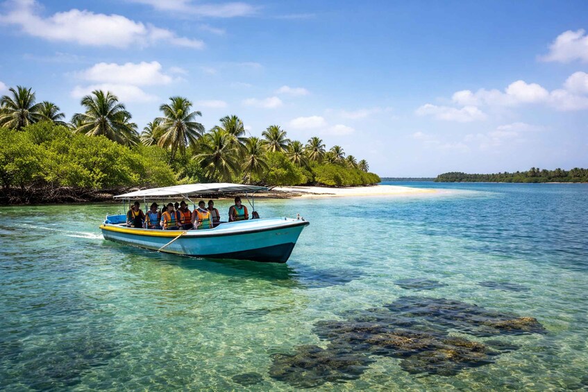 A boat with passengers on a clear turquoise sea, surrounded by lush green palm trees and a sandy beach. 2
