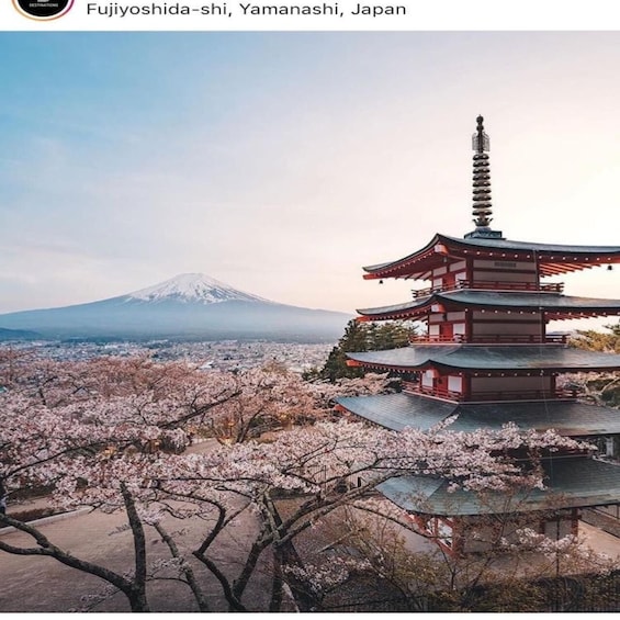 A traditional Japanese pagoda with cherry blossoms in the foreground and Mount Fuji in the background. 5