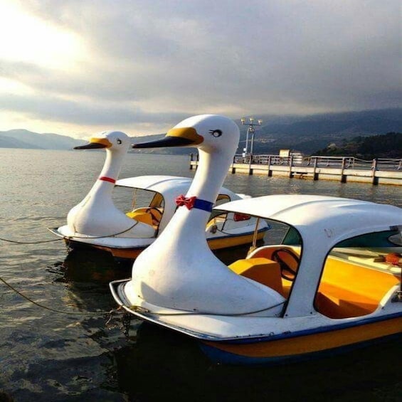 Two swan-shaped boats on calm water with a mountainous backdrop. 4