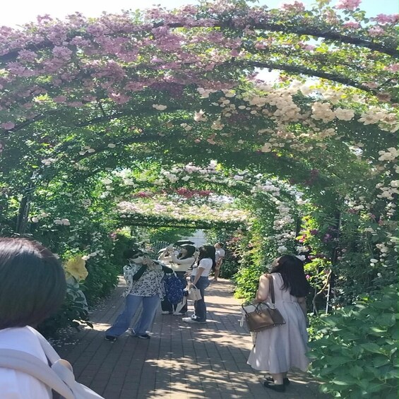 A garden pathway under a floral archway with people walking and standing. 4